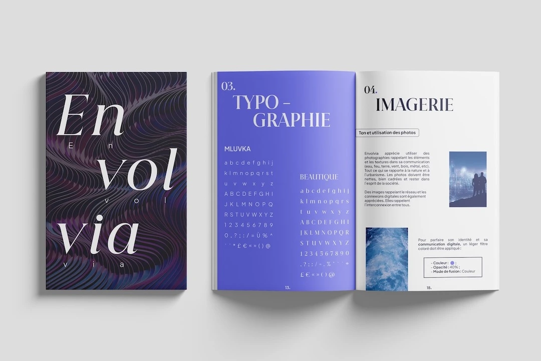 Projet Envolvia